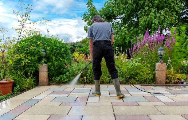 Professional Pressure Washing Services in Lavonia, GA